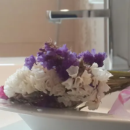 The Nest Кити