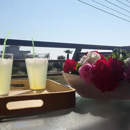 公寓 鸟巢旅馆