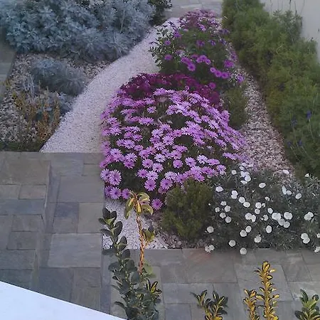 The Nest *