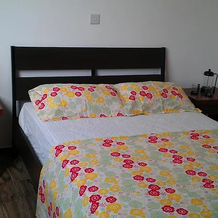 Apartment The Nest
